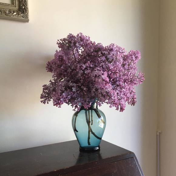 Meet your Posher, Laura - Picture 1 of 1